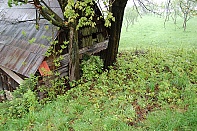 Zamaskování